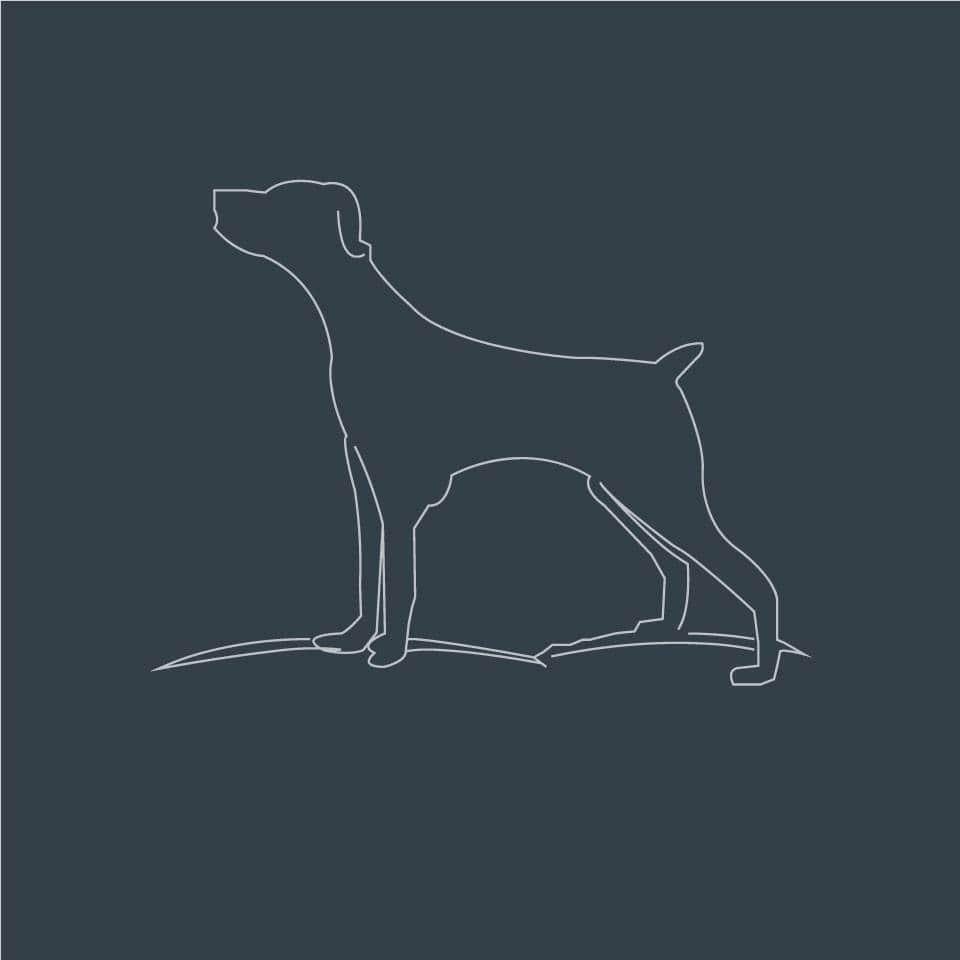 doginn.jfif