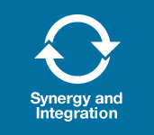 synergy and integration 