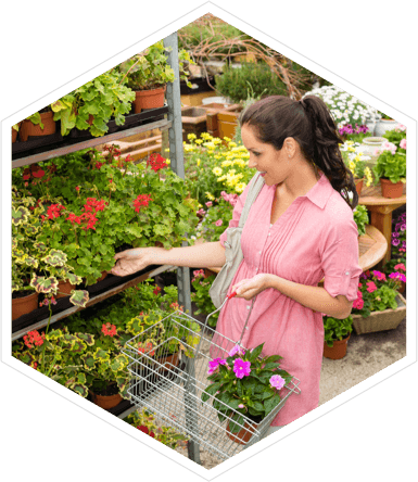 EPoS for Garden Centres & Plant Nurseries